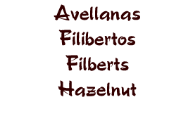 avellanas filibertos hazelnut